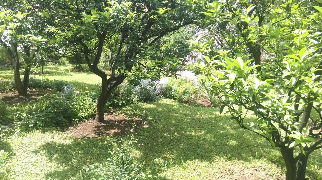 Apartment Ruzica Krstic Herceg Novi Buitenkant foto