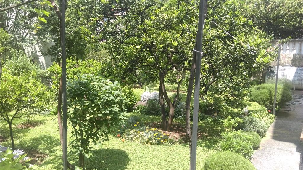 Apartment Ruzica Krstic Herceg Novi Buitenkant foto