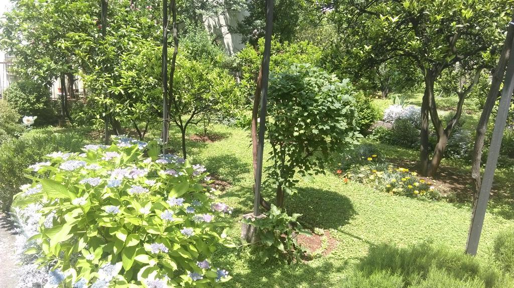 Apartment Ruzica Krstic Herceg Novi Buitenkant foto