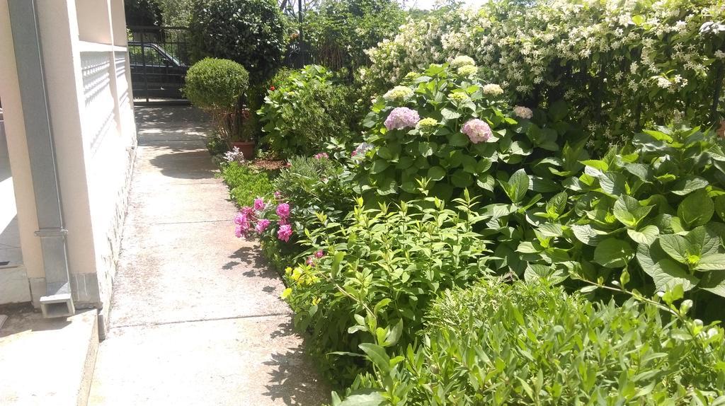 Apartment Ruzica Krstic Herceg Novi Buitenkant foto